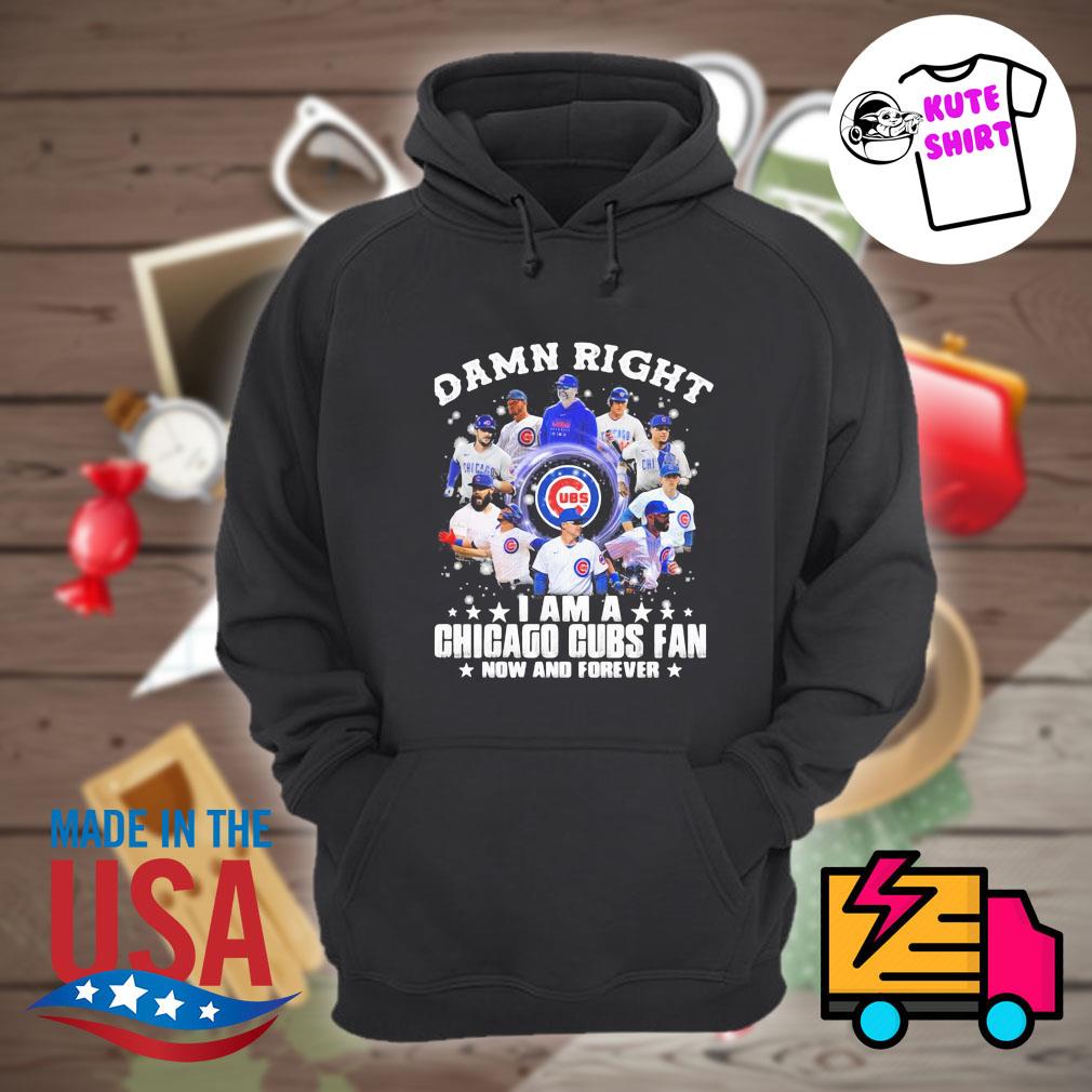 Chicago Cubs wash your damn hands shirt, hoodie, sweater and v